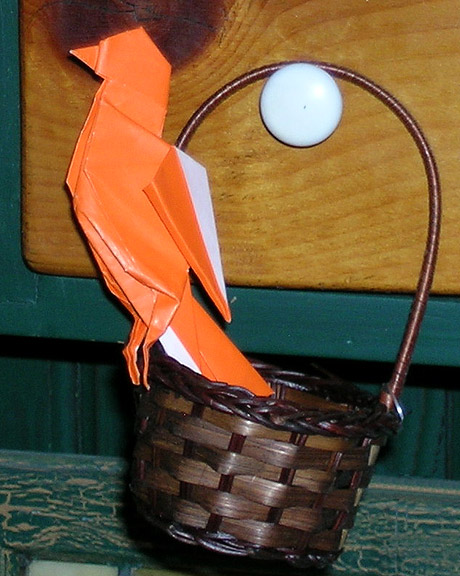Montroll's Robin